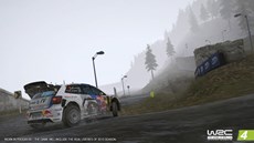 #002Υͥ/WRC 4 FIA ɥ꡼ԥ󥷥åספ˥å724ȯ