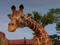 「Zoo Tycoon」Xbox 360版が3月20日に発売決定。Xbox One版も年内の発売を予定
