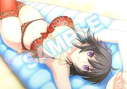 画像集#003のサムネイル/「マブラヴ photonmelodies♮」,店舗別予約特典の内容と使用イラストを公開