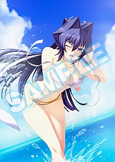 画像集#006のサムネイル/「マブラヴ photonmelodies♮」,店舗別予約特典の内容と使用イラストを公開