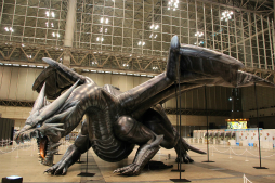 ꡼ No.003Υͥ / ֥󥹥ϥ󥿡ե15񤬳šƣȲι ߤ󤬽б餷ơðŪʵϿӽФּפʤɤݡ