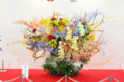 ���������꡼ No.007�Υ���ͥ������ / �ܴݤǤ�10ǯ�ε��פ򿶤��֤롣���������ONLINE�ץ����ӥ�����10��ǯ��ǰ�Ի���������� ���ܴ��� 2025��Ÿ������ݡ���