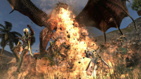 Dragon's Dogma OnlineסǮΥ֥쥹Ĳε֥ɥ쥤פΥӥ奢俷ʥɥߥåŤζԡפξܺ٤