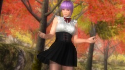 DEAD OR ALIVE 5 Last Roundסͤε塼ۿ