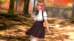 DEAD OR ALIVE 5 Last Roundסͤε塼ۿ