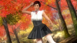 DEAD OR ALIVE 5 Last Roundסͤε塼ۿ