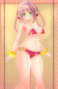  No.005Υͥ / VALKYRIE DRIVE -BHIKKHUNI-סְå軰ơפۿ