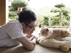 大ヒットアプリ「ねこあつめ」が俳優の伊藤淳史さん主演で実写映画化。2017年に全国公開決定