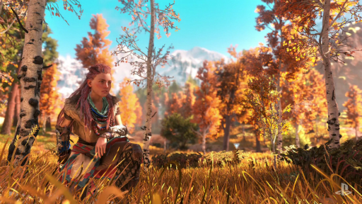 Horizon Zero Dawnפϥ饯Υ󥻥ץȥȤϤޤäȯԤˡȤ