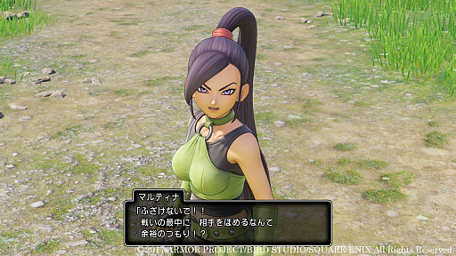 画像ギャラリー No.038のサムネイル画像 / 本日発売「ドラゴンクエストXI 過ぎ去りし時を求めて」の情報まとめ。今日から冒険に出る人も,PS4版と3DS版で迷っている人も必読