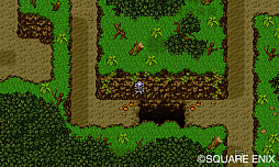 画像ギャラリー No.067のサムネイル画像 / 本日発売「ドラゴンクエストXI 過ぎ去りし時を求めて」の情報まとめ。今日から冒険に出る人も,PS4版と3DS版で迷っている人も必読