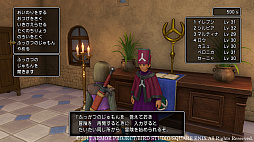 画像ギャラリー No.096のサムネイル画像 / 本日発売「ドラゴンクエストXI 過ぎ去りし時を求めて」の情報まとめ。今日から冒険に出る人も,PS4版と3DS版で迷っている人も必読