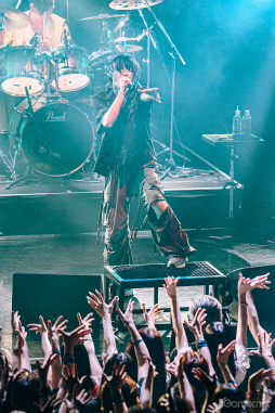 ꡼ No.009Υͥ / 7ǯᤷߤ򡤺ǹλפФɤؤ ֥ХȯꥢХ OSIRIS7ǯ֤ޥOSIRIS THE LUST GIGץݡ