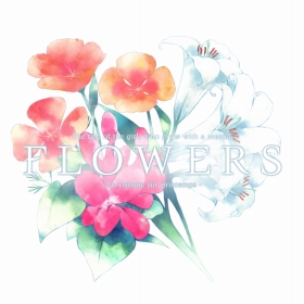 ���������꡼ No.001�Υ���ͥ������ / ɴ���ADV��FLOWERS�פ�Android�Ǥ��ۿ����ϡ����Ϥ�100�ߤǥץ쥤��ǽ