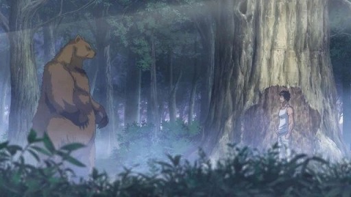 ꡼ No.008Υͥ /  ˥ᡤ褦244ϼĥ襯ḶΡðϺϲ̥饤ˤʤꤿס40ȿˤĩܵΡȲ̥饤ä