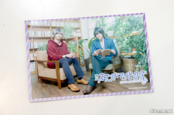 ꡼ No.003Υͥ / Υ󥿥ӥ塼ϡȥޥɤߤޤʤإɥޥҡ١ץ㥹ȡ̴ 󤬸̥