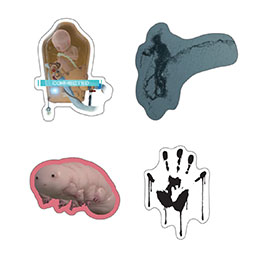 ���������꡼ No.014�Υ���ͥ������ / ��DEATH STRANDING 5th Anniversary Exhibition & Popup�ס�2��7���˥������Ȥ��������ν�Ÿ���Ƥ����餫��