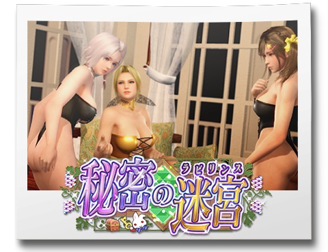  No.003Υͥ / DEAD OR ALIVE Xtreme Venus Vacationס٥ȡ֥ʥե̩µܡ׳