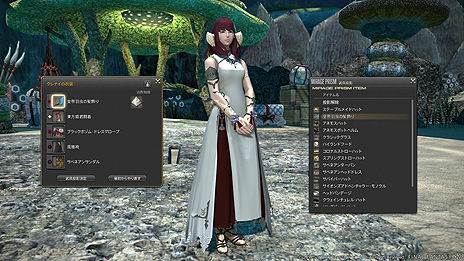 FFXIV: ϡΥ٥졼ץѥå4.3ַβڡסô䤪ͳ󥳥ƥĤʤɤξSSȶ˸