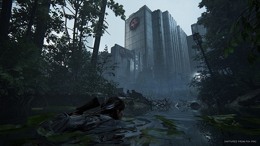 ͤˤʤä꡼ˤϡ㤷޹Τ褦ŸԤäƤThe Last of Us Part IIԥץå