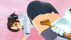  No.016Υͥ / ֥Υӥե -SENRAN KAGURA-פOP˥ˤäƥʥꥪѲ뿷ƥब餫