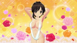 ֥Υӥե -SENRAN KAGURA-סMΡξפɲå饯Ȥۿϡ졼ʤɿDLC