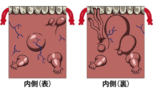  No.002Υͥ / ֿסΥ٥饤618ȯꡣꥰåξ