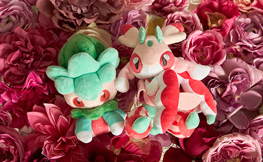 ���������꡼ No.006�Υ���ͥ������ / �ݥ����Τ̤�����ߥ��꡼����Pokemon fit�פ˥������������Υݥ���󤿤����о졣�Ȥ̤��Хå��ɤʤɤλ��ߤ�