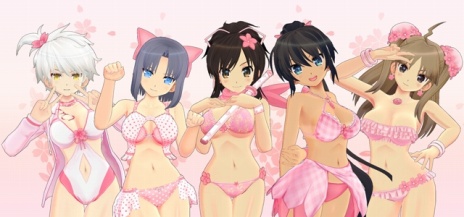 ���������꡼ No.013�Υ���ͥ������ / �����𥫥���ץ��꡼���ο���ȯɽ��8��2�����ۿ����ꡣNintendo Switch���Τ�������ץ쥼��ȥ����ڡ����»�