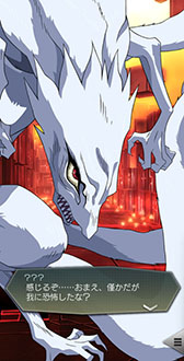 ꡼ No.017Υͥ / D2ᥬƥסȤȤ饳ܥ٥Ȥ򳫺šǺ50Υܾ