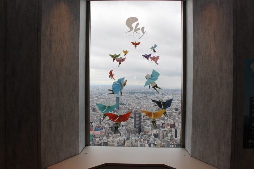 ꡼ No.008Υͥ / 6ǯޤSky ¤Ҥɤ⤿פ¸ֱǲססǱǲǤߤˤĤơΥ᤬аޤä