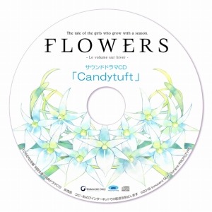 FLOWERSӡפOPࡼӡʬŵɥCDCandytuftפξ