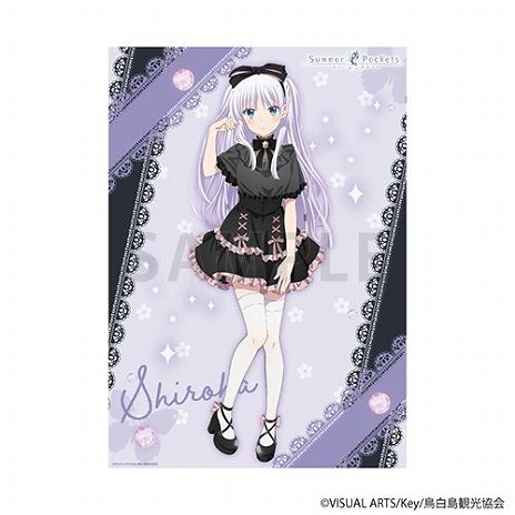 ꡼ No.013Υͥ / TV˥Summer Pocketsץåե in ޡ621˳ϡŵϥҥ󤿤Υݥȥɡ6