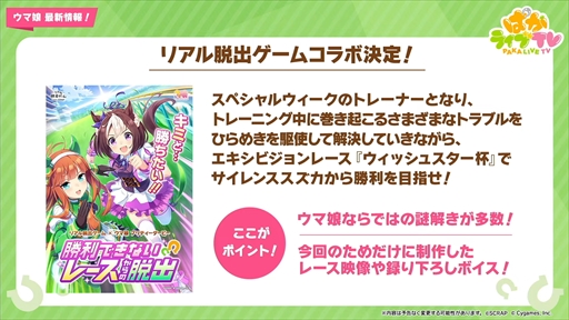 ���������꡼ No.033�Υ���ͥ������ / ��������Υ����ͥ���������ȥ�����󥹥��������о졣�֥���̼ �ץ�ƥ��������ӡ��פѤ��饤��TV Vol.31�ޤȤ�