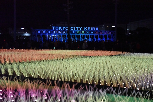 ���������꡼ No.004�Υ���ͥ������ / �֥���̼ �ץ�ƥ��������ӡ�������ᥬ����ߡץ���ܤ���涥�Ͼ�ǳ����档����̼��ͥ�ؤ���������Ƥ�Ҳ𤷤��ȡ������硼�����ͤ��Ϥ�