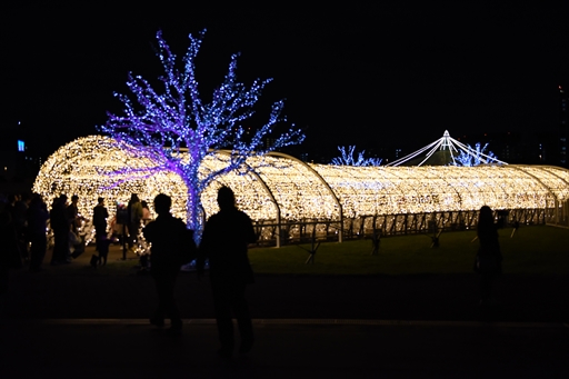 ���������꡼ No.006�Υ���ͥ������ / �֥���̼ �ץ�ƥ��������ӡ�������ᥬ����ߡץ���ܤ���涥�Ͼ�ǳ����档����̼��ͥ�ؤ���������Ƥ�Ҳ𤷤��ȡ������硼�����ͤ��Ϥ�