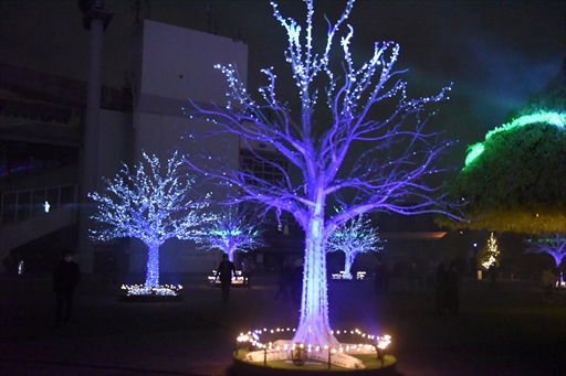 ���������꡼ No.008�Υ���ͥ������ / �֥���̼ �ץ�ƥ��������ӡ�������ᥬ����ߡץ���ܤ���涥�Ͼ�ǳ����档����̼��ͥ�ؤ���������Ƥ�Ҳ𤷤��ȡ������硼�����ͤ��Ϥ�