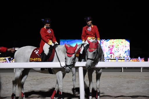 ���������꡼ No.010�Υ���ͥ������ / �֥���̼ �ץ�ƥ��������ӡ�������ᥬ����ߡץ���ܤ���涥�Ͼ�ǳ����档����̼��ͥ�ؤ���������Ƥ�Ҳ𤷤��ȡ������硼�����ͤ��Ϥ�