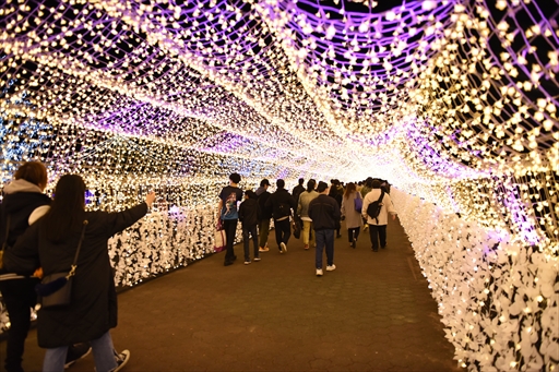 ���������꡼ No.019�Υ���ͥ������ / �֥���̼ �ץ�ƥ��������ӡ�������ᥬ����ߡץ���ܤ���涥�Ͼ�ǳ����档����̼��ͥ�ؤ���������Ƥ�Ҳ𤷤��ȡ������硼�����ͤ��Ϥ�