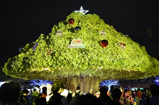 ���������꡼ No.021�Υ���ͥ������ / �֥���̼ �ץ�ƥ��������ӡ�������ᥬ����ߡץ���ܤ���涥�Ͼ�ǳ����档����̼��ͥ�ؤ���������Ƥ�Ҳ𤷤��ȡ������硼�����ͤ��Ϥ�