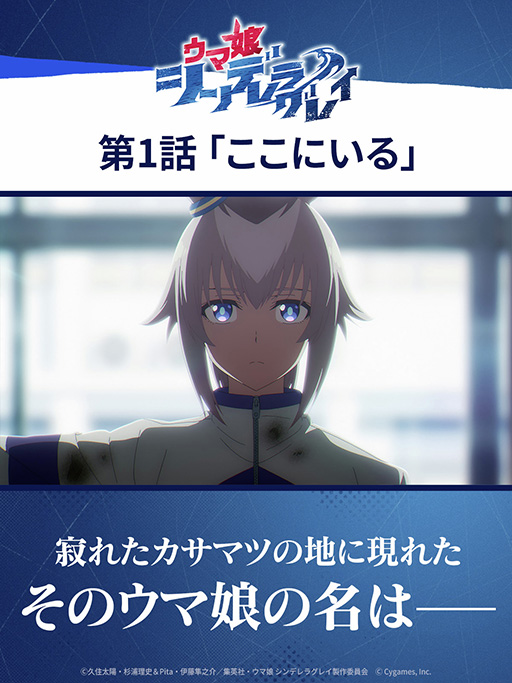 ���������꡼ No.009�Υ���ͥ������ / ��ͤη����̼�̿���10��SSR�ǥ���󥰥����Ȥ��Ĥ��˥���������о졣���˥�֥���ǥ�饰�쥤���������Ϥޤꡤ�Ƽ拾��ܥ��٥�ȤⳫ��