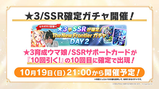 ꡼ No.003Υͥ / ֥̼ ץƥӡס̼֥åɥǥסCVغ Ʒˤȯɽ֥ʥӥΥ饤ХȤΤ붥Ϥ