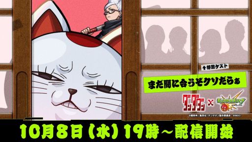 ꡼ No.003Υͥ / ǿϤ֥ʥĸפۿ˺줺˸ֺθۿȡץԥåå