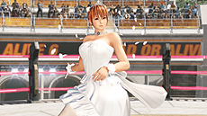 DEAD OR ALIVE 6פƱȯ䡣ʤɳƼDLCʲʤǤ֥ѥ1פ