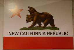 ���������꡼ No.005�Υ���ͥ������ / ��Fallout�פ�������ڤ���륳��ܥ��ե����������塦���桦���ڤǥ������ȡ��ꥢ��֥̥���������פ⴮ǽ�Ǥ�����������ݡ���