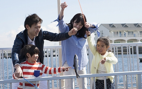 ���������꡼ No.009�Υ���ͥ������ / �֤��Ĥޤ� �ɤ��֤Ĥο��פ�Ȭ���祷���ѥ�������������դˤ����ȤϤä�����ɤ��о졣�ꥢ�륳��ܥ��٥�Ȥ�7��12����곫��