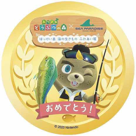 ���������꡼ No.017�Υ���ͥ������ / �֤��Ĥޤ� �ɤ��֤Ĥο��פ�Ȭ���祷���ѥ�������������դˤ����ȤϤä�����ɤ��о졣�ꥢ�륳��ܥ��٥�Ȥ�7��12����곫��