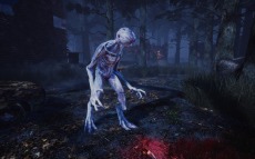 PS4Dead by Daylight ǡפοץ֥ȥ󥸥㡼󥰥 ̤Τפۿ͵ǥ⥴르󤬻