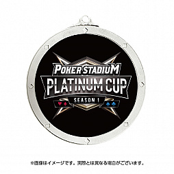 ֥ݡ׽θ饤PLATINUM CUPɤ