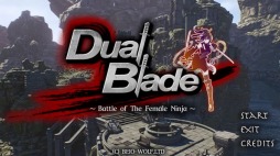 Switch3DDual Blade Battle of The Female Ninjaפȯ2019ǯ˱